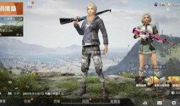 和平精英最新外挂爆料,揭秘游戏平衡破坏者