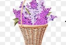 花篮网爆料最新网站大全,最新网站大全汇总，一网打尽全网精彩