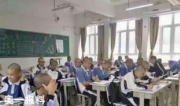 镇宁职校爆料案件最新,真相揭开，校园安全再引关注”