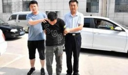 出警爆料抢劫案例最新,最新抢劫案紧急通报，警方全力追捕嫌疑人