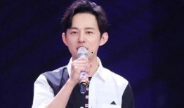 最新爆料何炅事件视频播放,真相与争议再引热议