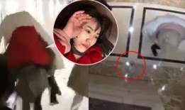 马蓉被打最新爆料,最新爆料揭露惊人内幕