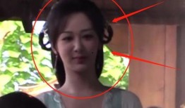 杨紫最新爆料新路透,揭秘新路透背后的故事