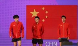 乒乓男队爆料最新消息,最新动态揭秘，备战奥运备战情况一览”