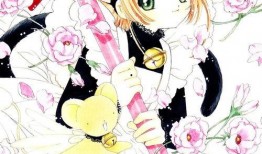 小樱技能爆料最新视频下载,视频解析揭示神秘力量