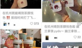 奶茶最新爆料,揭秘网红奶茶背后的秘密与真相